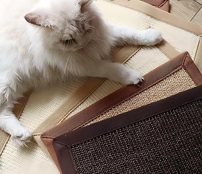 Cat Scratch Carpet - Image 4