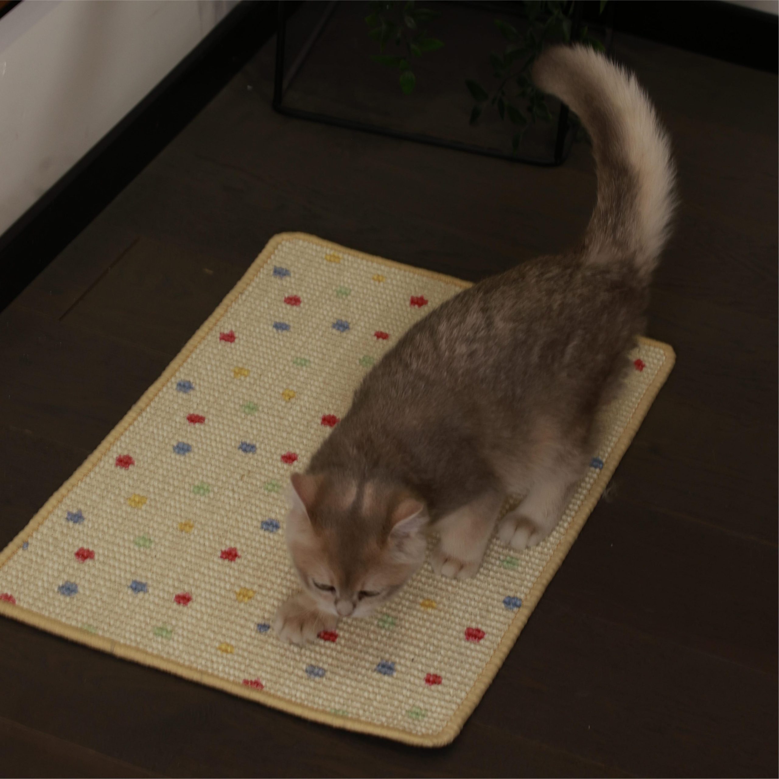 Cat Scratch Carpet - Image 2
