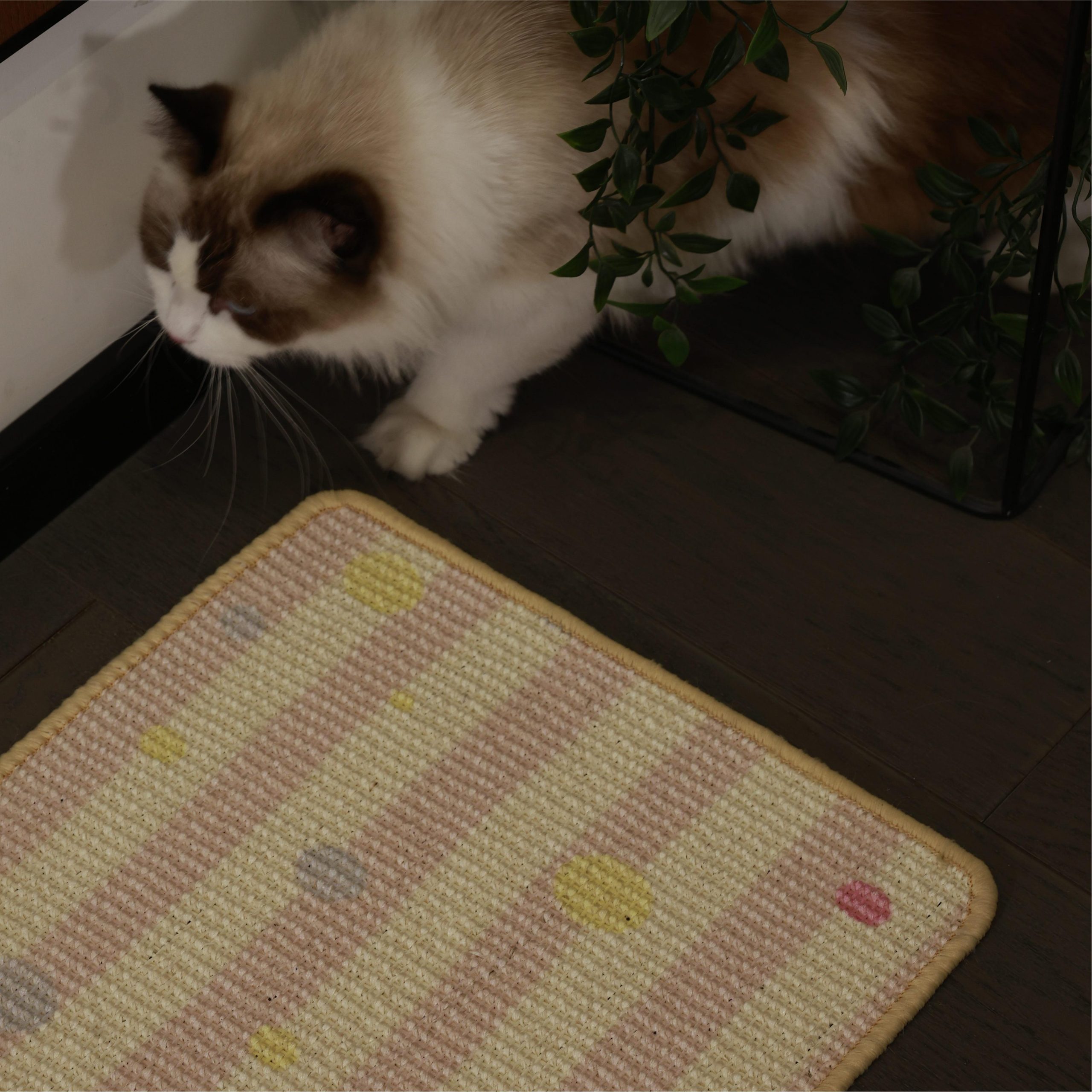 Cat Scratch Carpet - Image 3