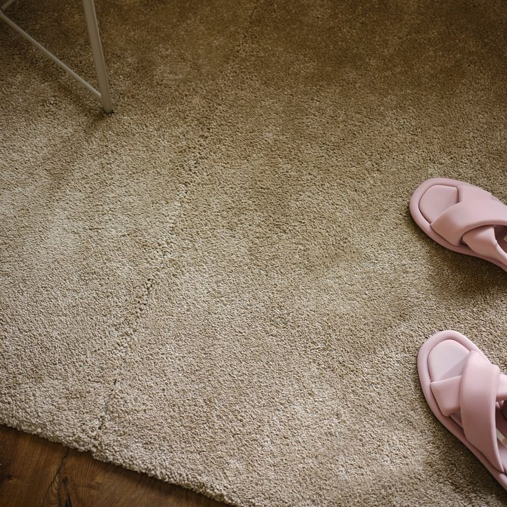 Wall to Wall Carpet - Image 6