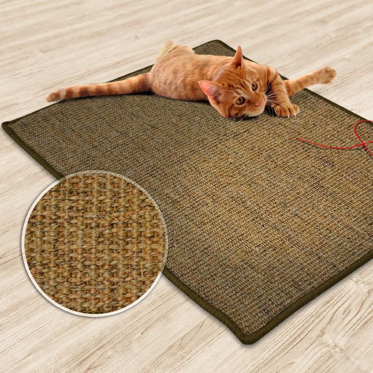Cat Scratch Carpet - Image 2